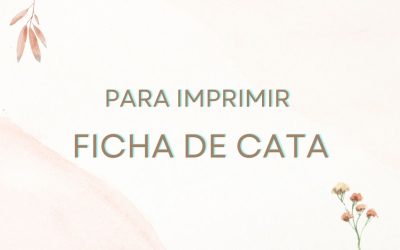 FICHA DE CATA de Vinos BÁSICA para principiantes!