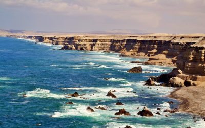 Recuerdos aromáticos con sabor a MAR